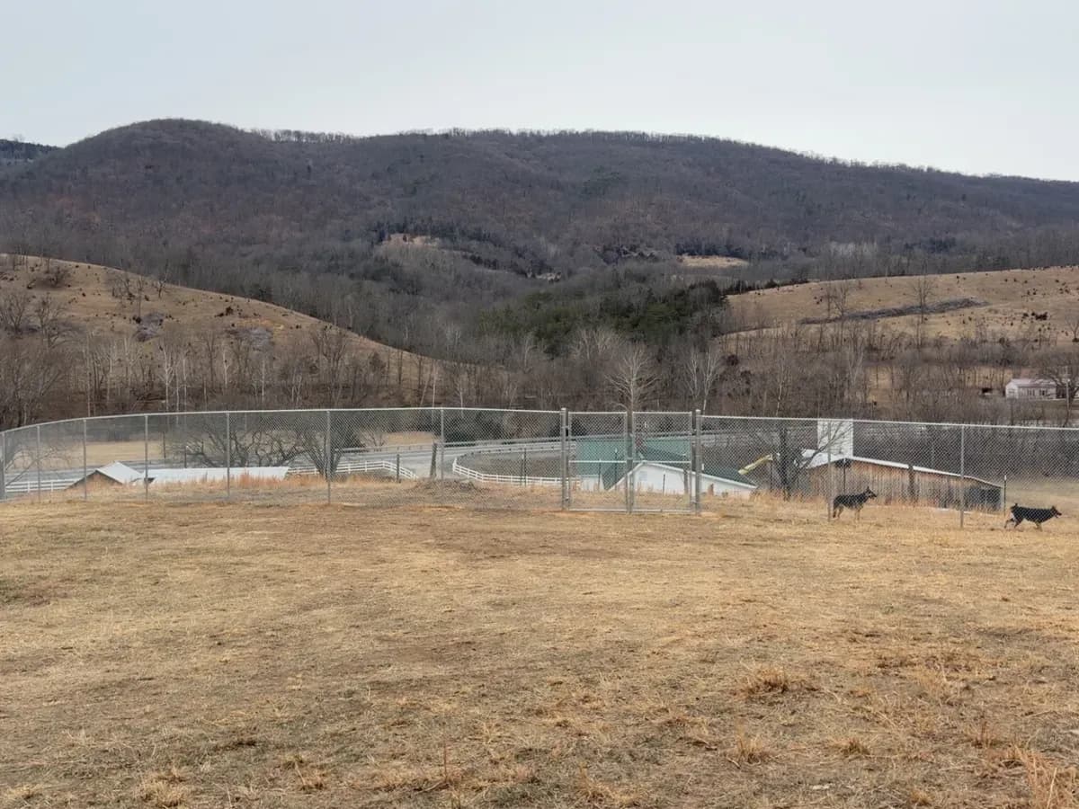 Long chain-link perimeter fence crossing a hillside